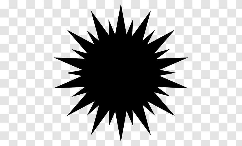 Logo - Resource - Star In Circle Transparent PNG