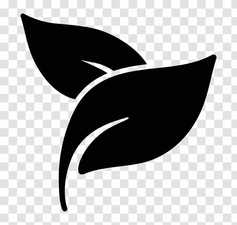 Illustration Icon Design - Leaf Transparent PNG