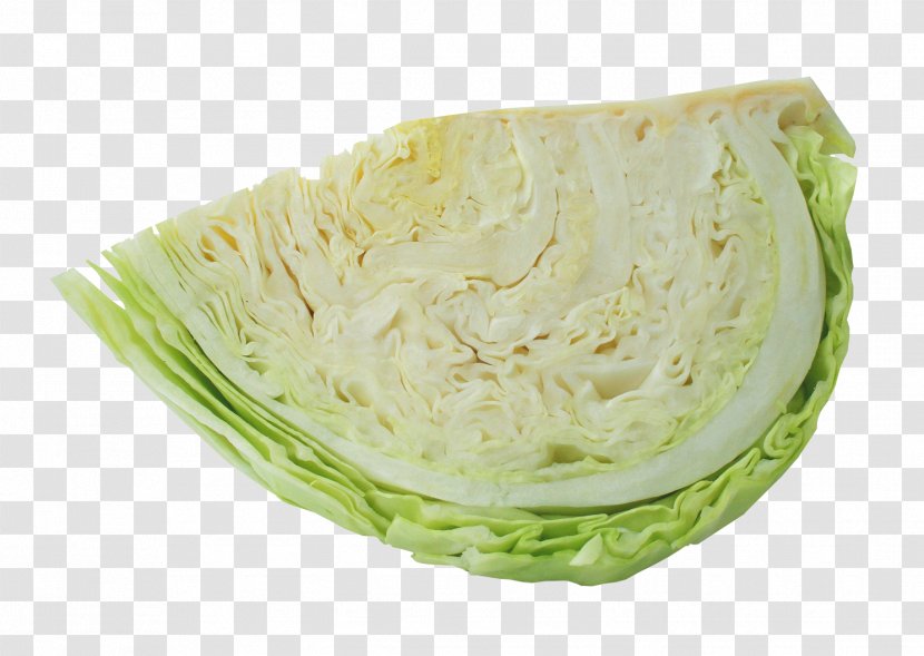 Cabbage Vegetarian Cuisine Vegetable - Produce - Half Transparent PNG