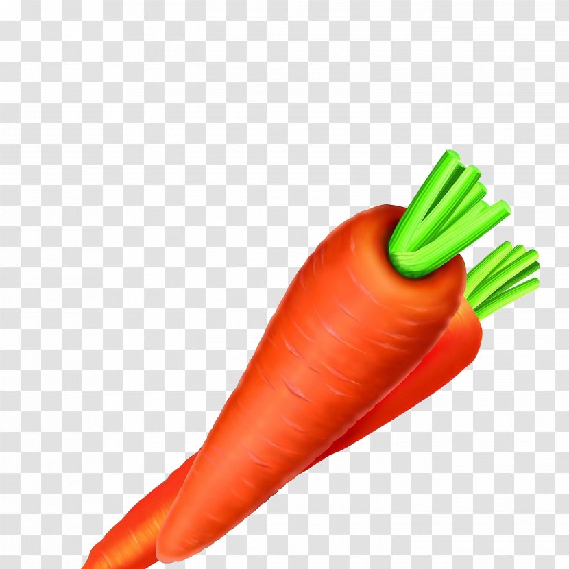 Carrot Vegetable Carotene Food Radish Transparent PNG