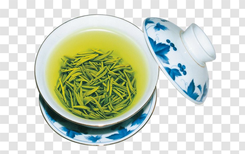 Green Tea Puer City Chawan Teaware - Nilgiri - Fresh Cup Of Transparent PNG
