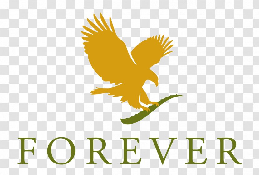 Forever Living Products Scandinavia AB Aloe Vera Multi-level Marketing Distribuidor - Wing - Friend Transparent PNG