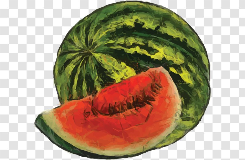 Watermelon Watercolor Painting Fruit - Vegetable Transparent PNG