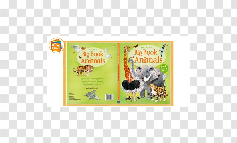 Big Book Of Animals Animal Alphabet Activity Doodles - Usborne Publishing Transparent PNG