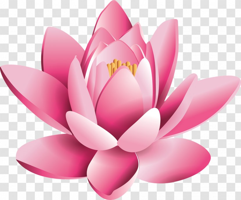 Chakra Manipura Hinduism Energy - Pink - Lotus Flower Transparent PNG