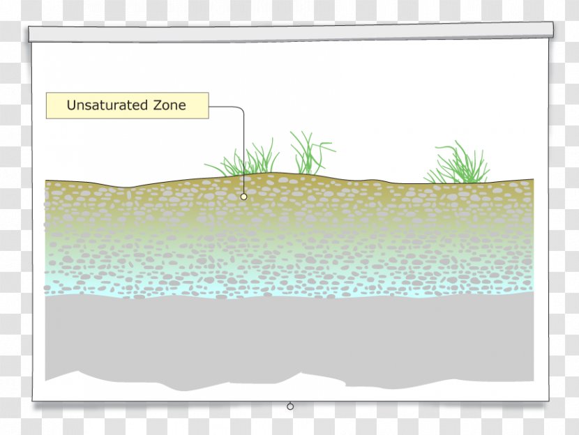 Water Resources Rectangle Lawn Animal - Border - Knowledge Check Transparent PNG