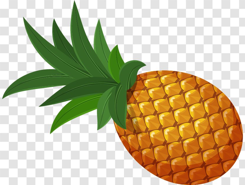 Pineapple - Produce - Vector Material Transparent PNG