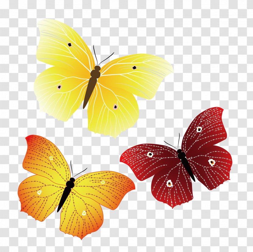 Monarch Butterfly - Moths And Butterflies - Line Singles Transparent PNG
