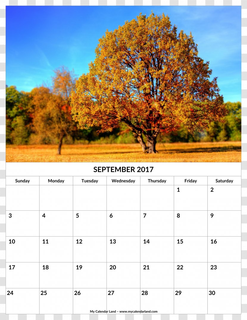Autumn 0 Season Summer September - December Transparent PNG