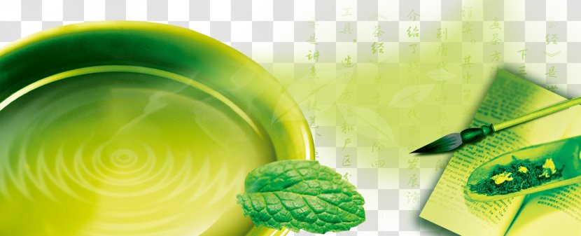 Green Tea Culture Packaging And Labeling - Banner Design Transparent PNG