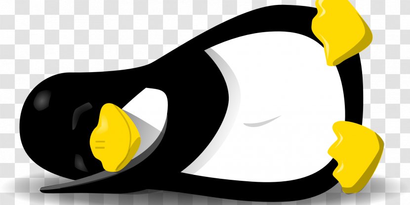 Tux Racer Typing T-shirt Penguin - Computer Software Transparent PNG
