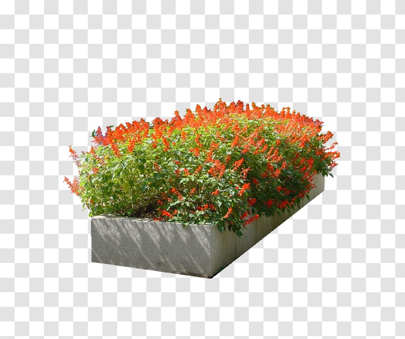 Flower Garden - Plate Bande - Bed Transparent PNG