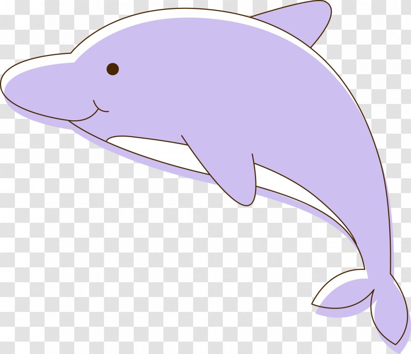 Tucuxi Common Bottlenose Dolphin Porpoise - Fauna - Vector Dolphins Transparent PNG