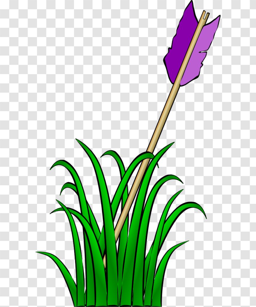 Clip Art - Plant - Cartoon Grass Transparent PNG