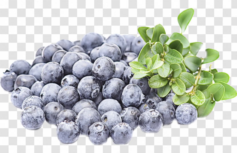 Bilberry Fruit Blueberry Berry Superfood Transparent PNG