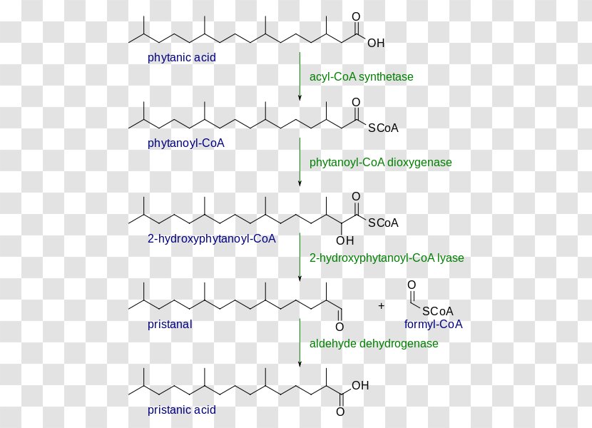 Alpha Oxidation Beta Fatty Acid Redox - Omega3 Transparent PNG