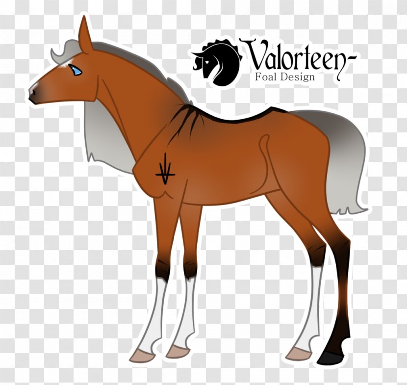 Mule Mustang Stallion Foal Pony - Horse Harnesses Transparent PNG