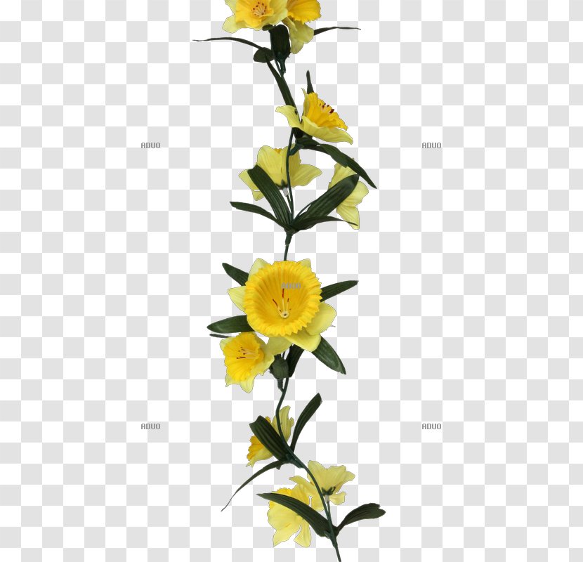 Floral Design Cut Flowers Rose Family Plant Stem - Flower Arranging Transparent PNG