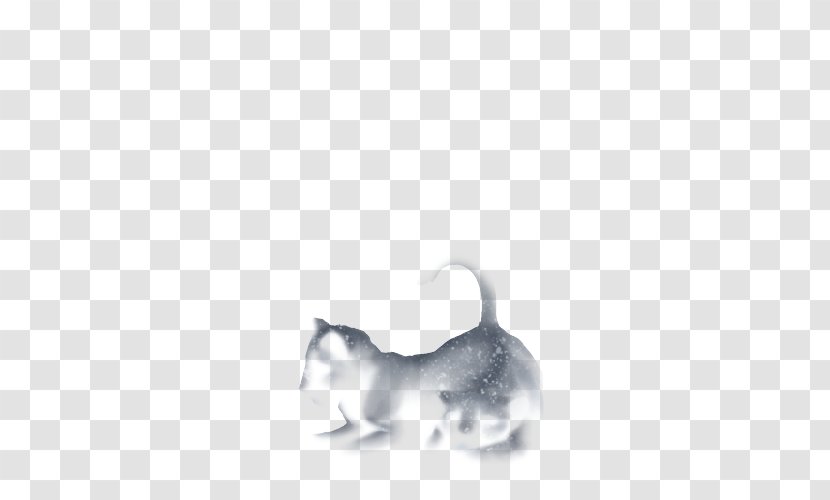 Whiskers Kitten Rat Dog White Transparent PNG