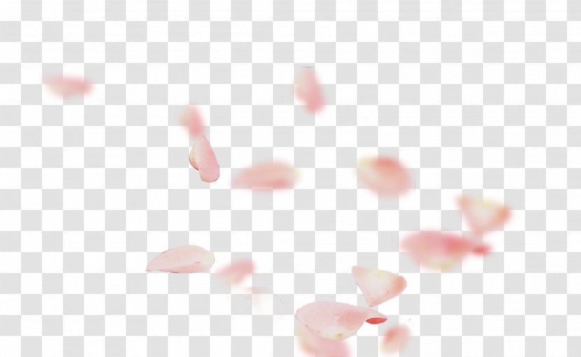 Pink Flower Cartoon - Computer - Blossom Plant Transparent PNG