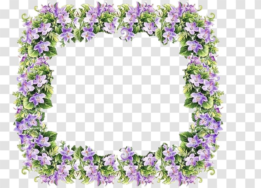 Lilac Violet Flower Lavender Purple - The Girls Wear Glasses Transparent PNG