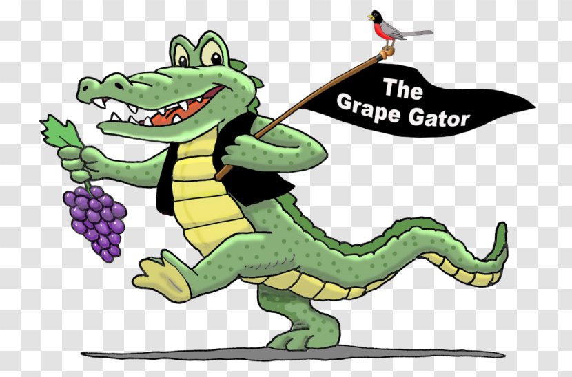 Alligator Cartoon - Animation Tail Transparent PNG