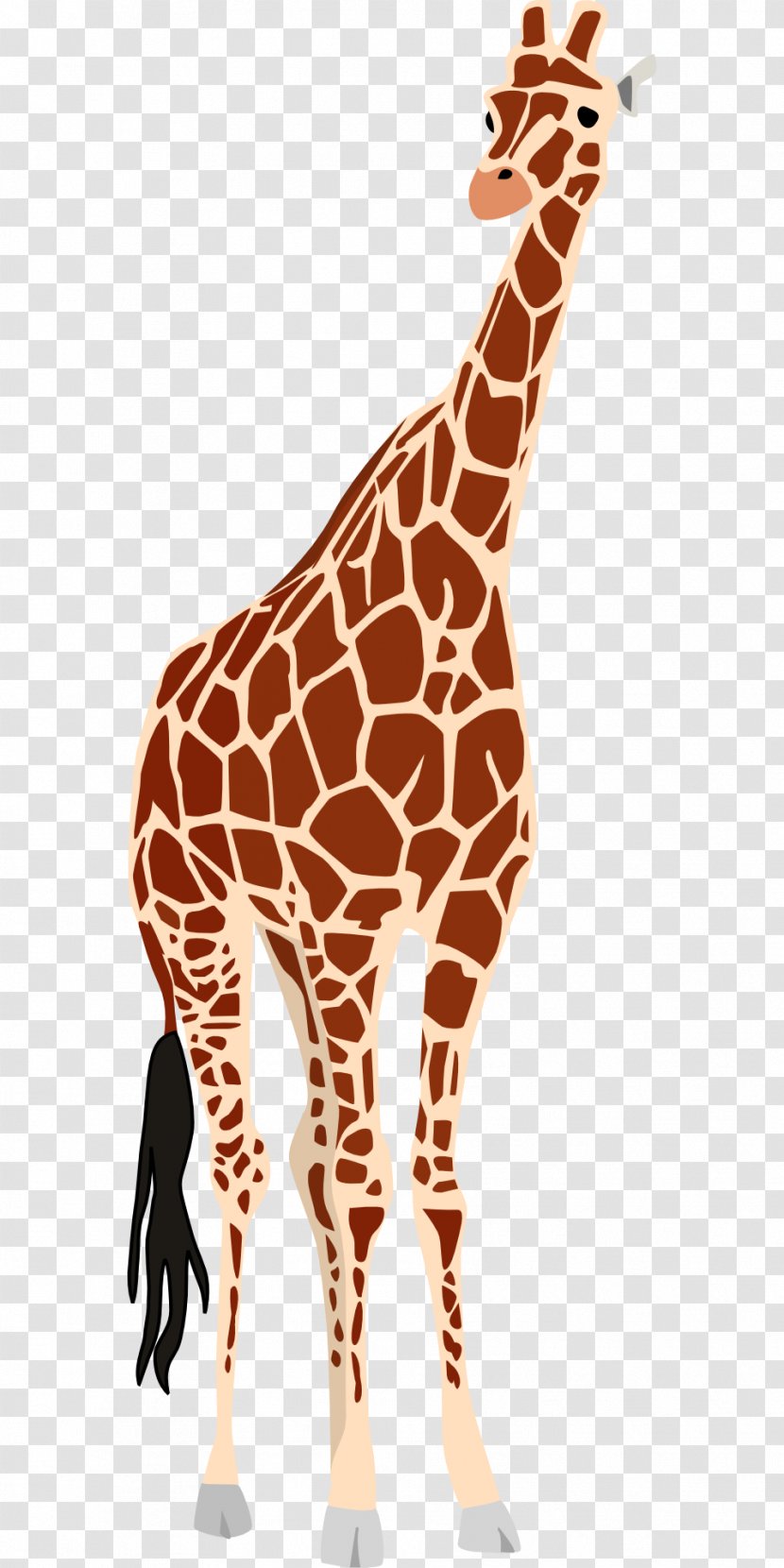 Giraffe Okapi Clip Art - Terrestrial Animal Transparent PNG