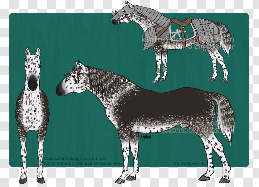 Pony DeviantArt Mustang Stallion - Mane Transparent PNG