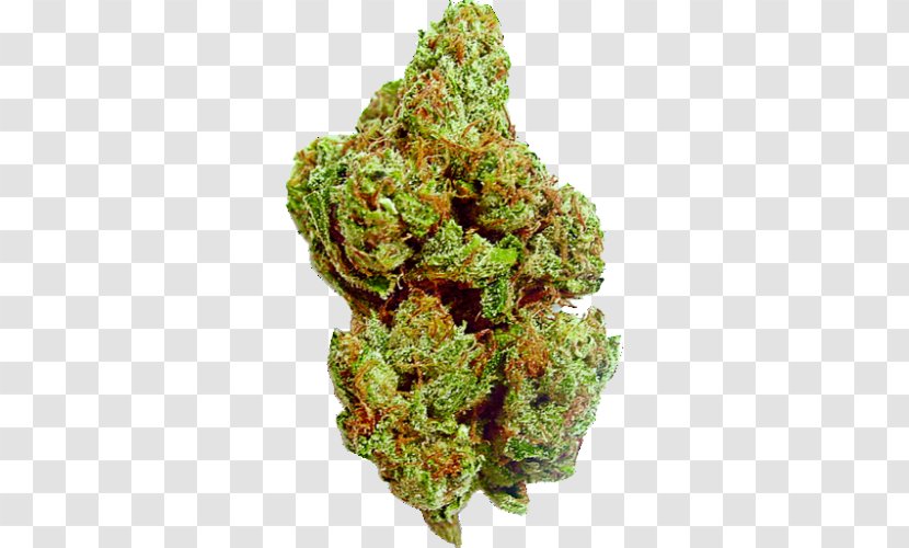 Kush Blue Dream Medical Cannabis Smoking - Sativa - Marijuana Transparent PNG