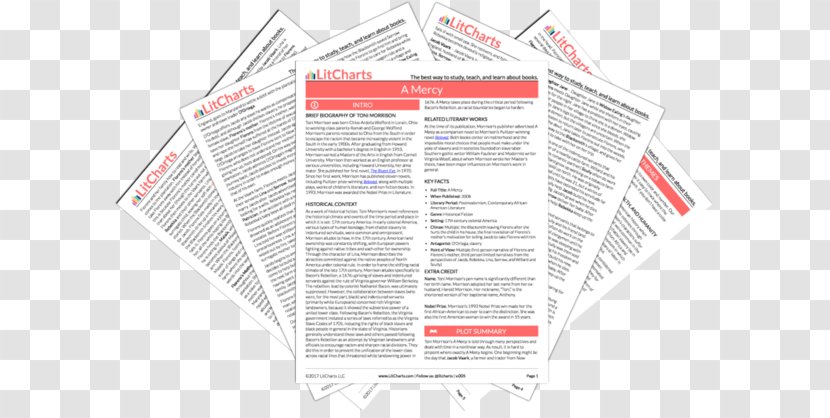 The Scarlet Letter Chapter Essay Book SparkNotes - Toni Morrison Pulitzer Prize Transparent PNG