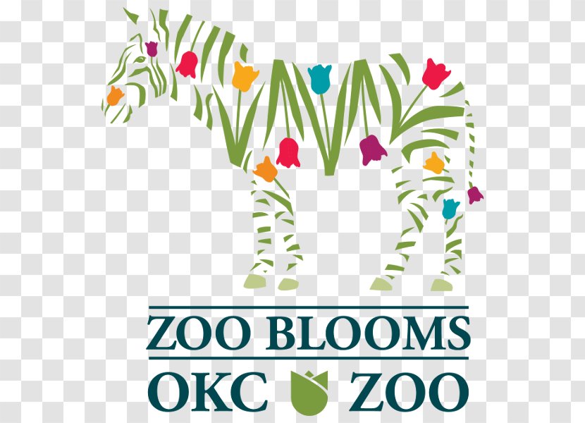 Oklahoma City Zoo Floral Design Botanical Garden Kalidy, LLC - An Ostrich Egg Transparent PNG
