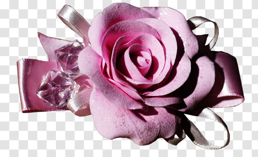 Garden Roses Centifolia Pink Cut Flowers - Yellow - Purple Transparent PNG