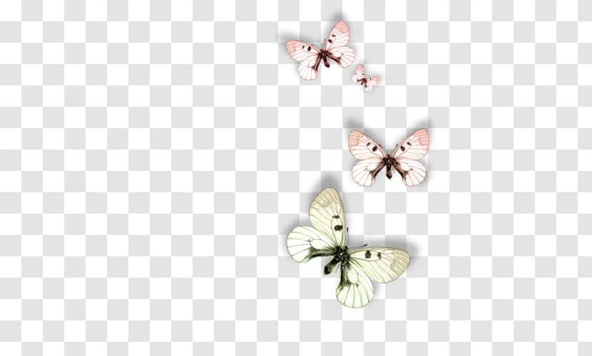 Butterfly Animal Moth Dog - Frame Transparent PNG