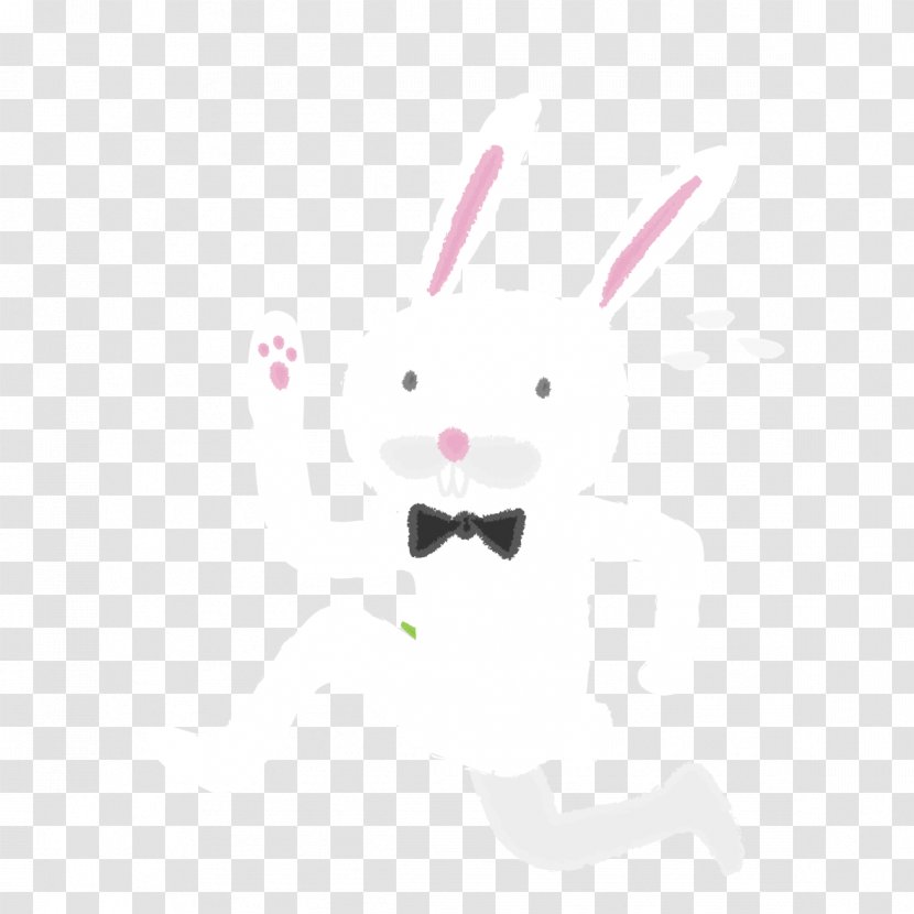 White Rabbit European - Drawing - Cartoon Rabbits Transparent PNG