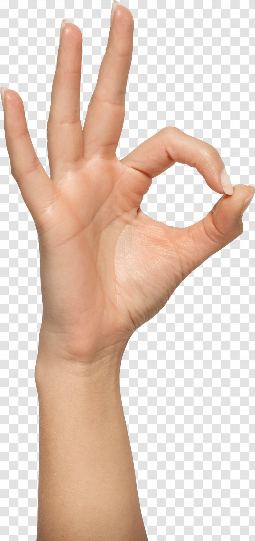 Hand Clip Art - Sign Language - Hands Image Transparent PNG