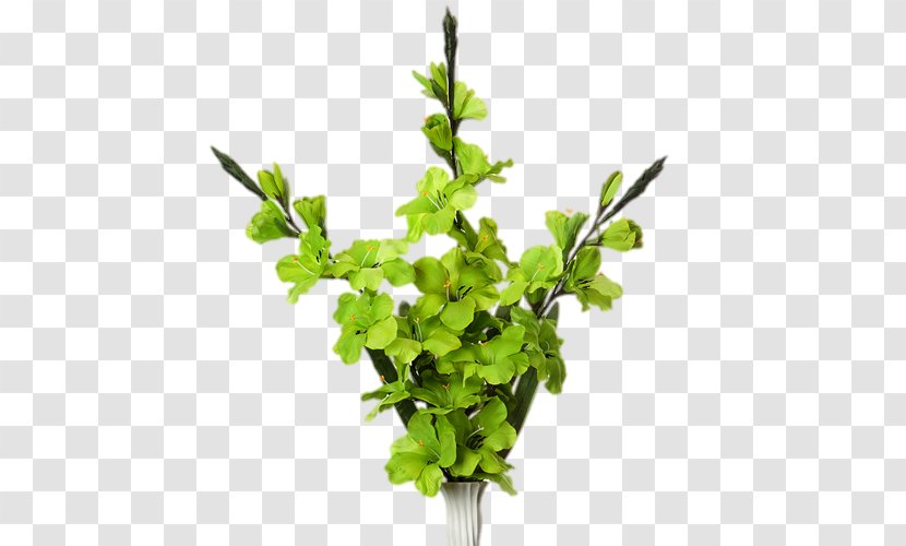 Twig Leaf Vegetable Herb Plant Stem - Branch Transparent PNG