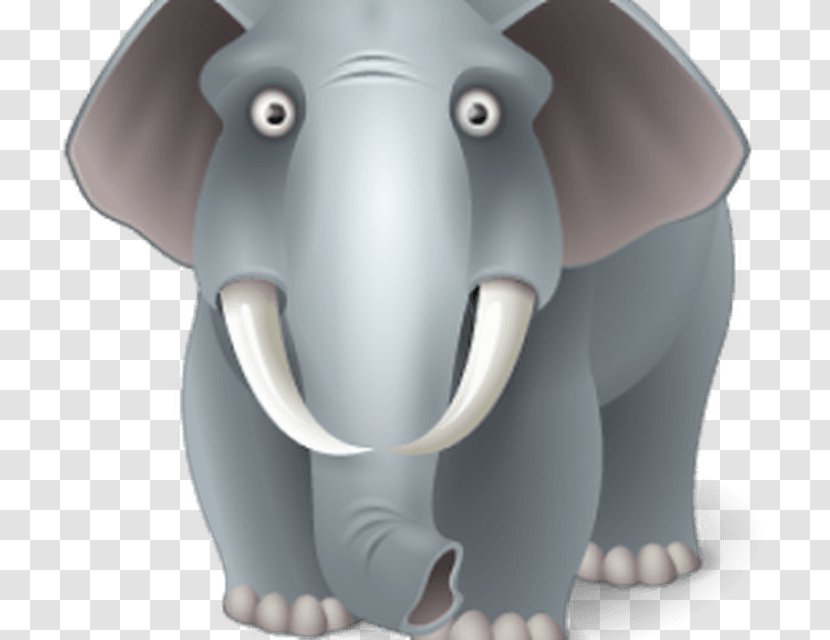 Elephant Image - Organism Transparent PNG