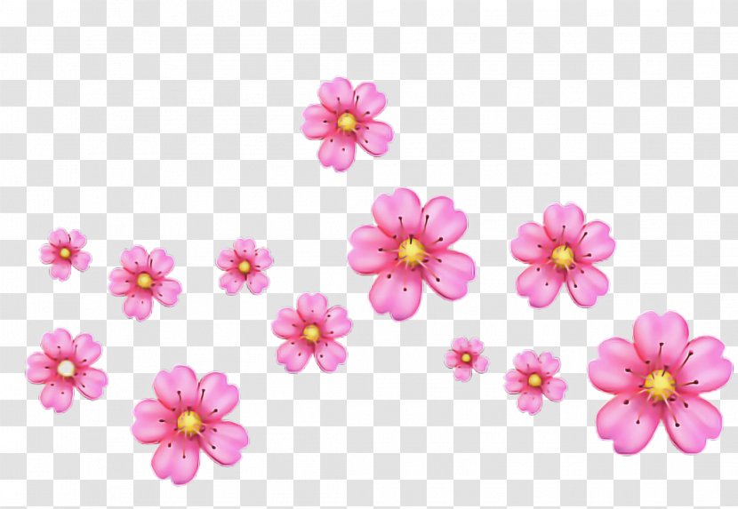 Cherry Blossom Cartoon - Floral Design - Wildflower Plant Transparent PNG