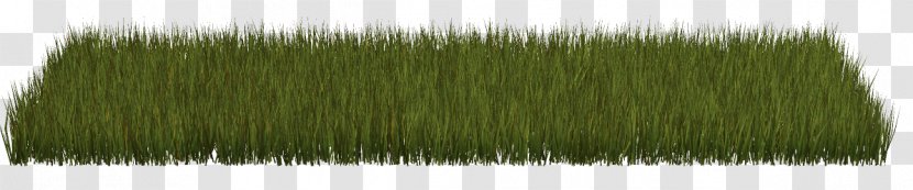 Grass Herbaceous Plant Lawn Clip Art - Guestbook Transparent PNG