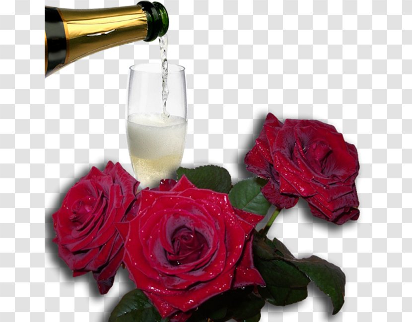 Garden Roses Cut Flowers Red Wine Glass Champagne Transparent PNG