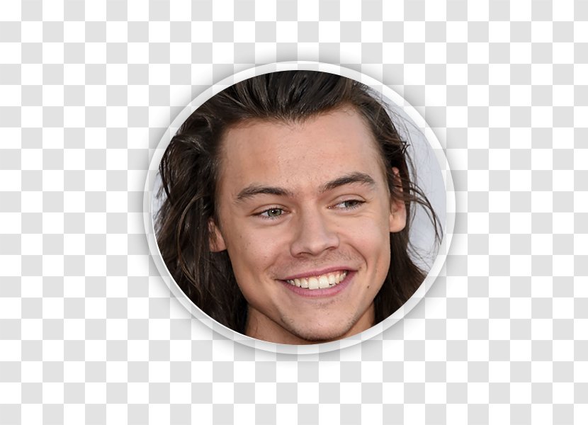 Harry Styles Dunkirk One Direction Actor Ziggo Dome - Tree Transparent PNG