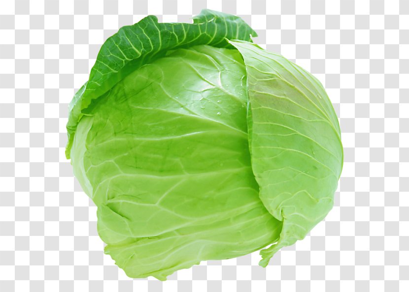 Red Cabbage Cauliflower Savoy Coleslaw - Food Transparent PNG