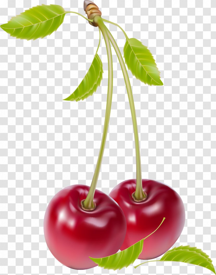 Cherry Fruit Clip Art - Royaltyfree Transparent PNG