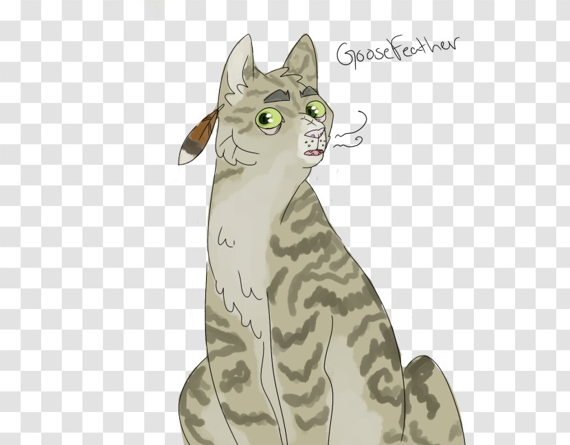 Tabby Cat Whiskers Wildcat Transparent PNG