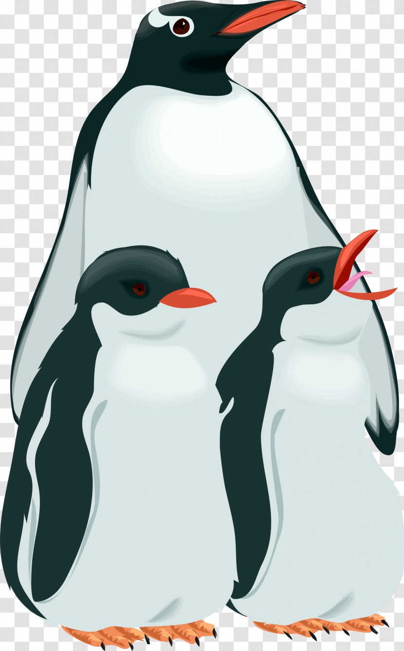 Penguin Bird Clip Art - King - Penguins Transparent PNG