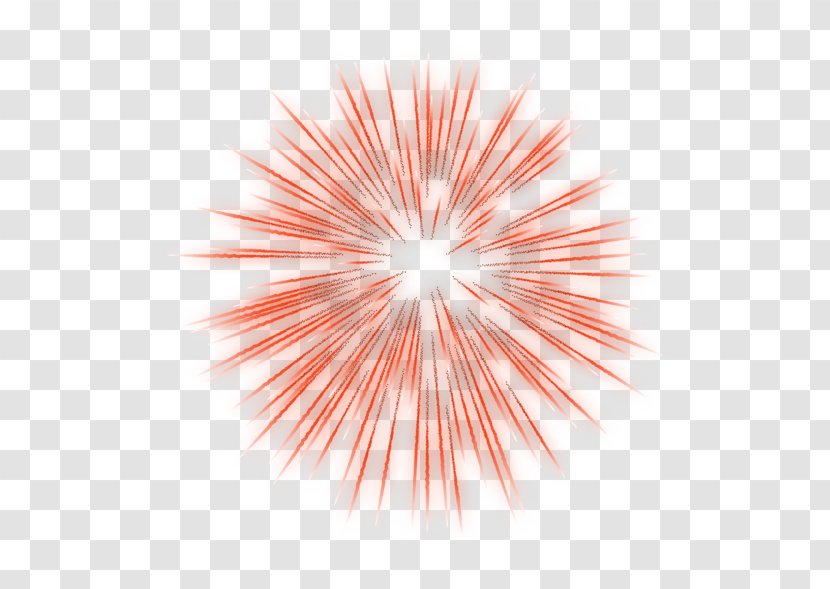 Fireworks Animation Photography Clip Art - Drawing - Diwali Transparent PNG