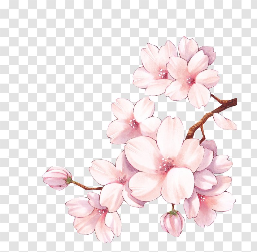 Paper Cherry Blossom Watercolor Painting Flower Transparent PNG