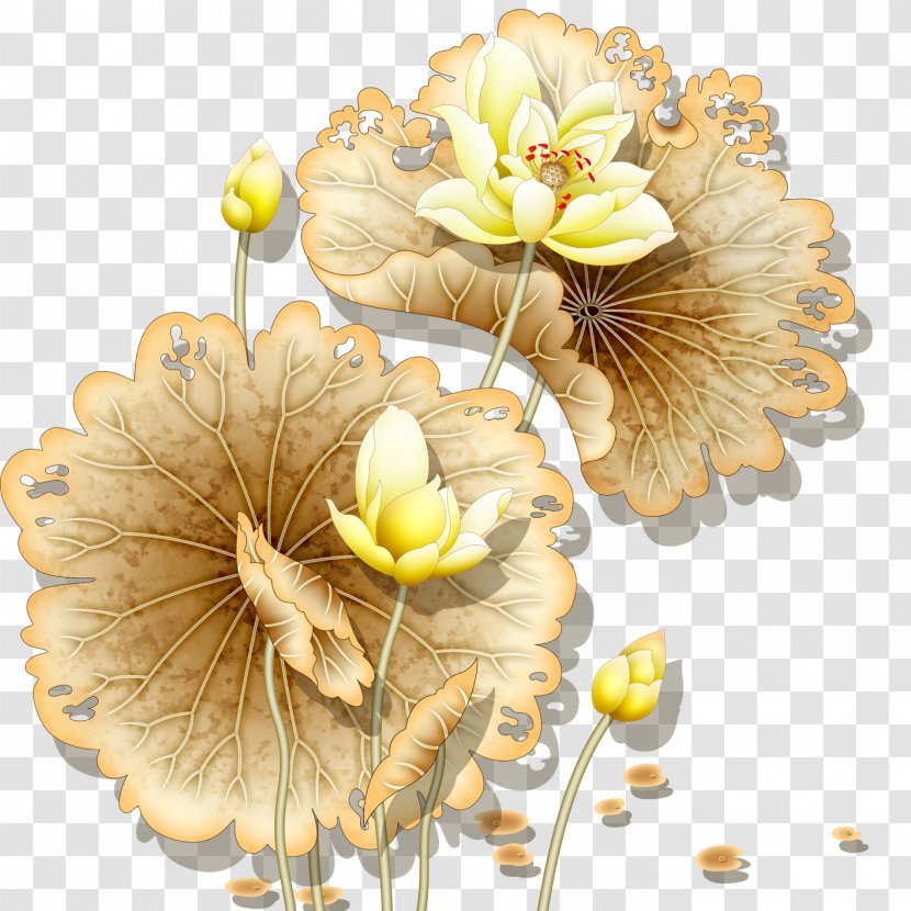 Nelumbo Nucifera Wall Painting - Flower - Lotus Transparent PNG