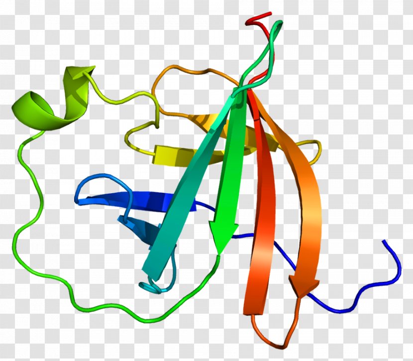 MTCP1 Protein Kinase B Gene AKT1 - Protooncogene Transparent PNG