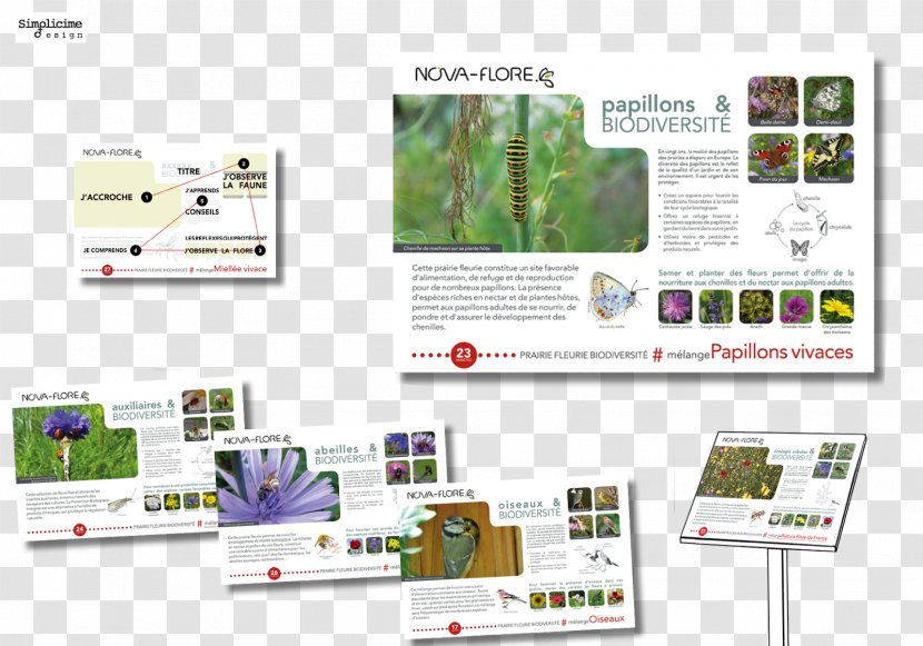 Communication Biodiversity Handicraft - Computer Software - Book Design With A K Transparent PNG